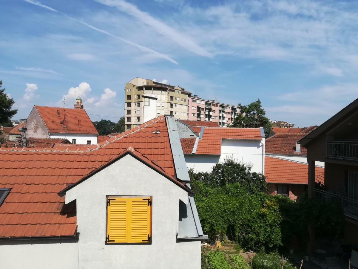 Apartments Tatjana Jagodina Eksteriør billede